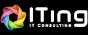 ITing IT Consulting