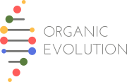 Organic Evolution Consultores